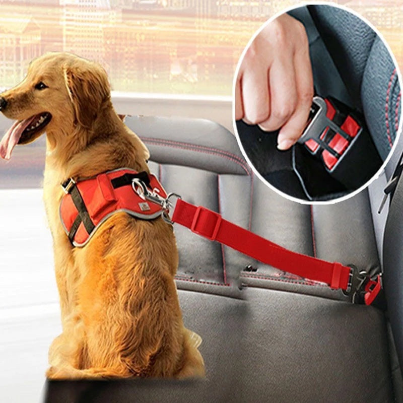 A fantastically secure seat belt