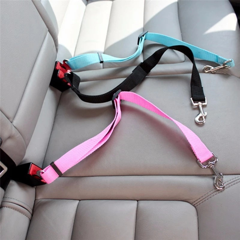 A fantastically secure seat belt