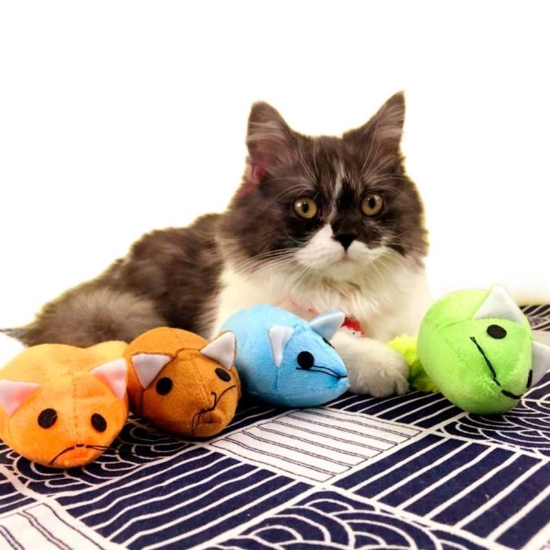 An irresistibly fun mouse toy – ready to awaken your cat’s wild side!